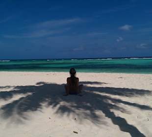 Saona Tour