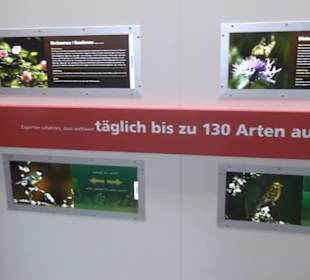 Ausstellung