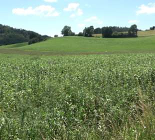 Naturerlebnispfad Sternberg