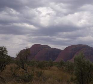 Blick vom Olgas Sunsetview