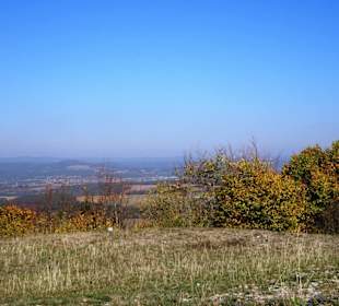 Ausblick