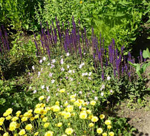 Botanischer Garten Berlin-Dahlem