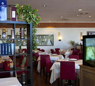 Ristorante Soleiado Rimini ristorante restaurant