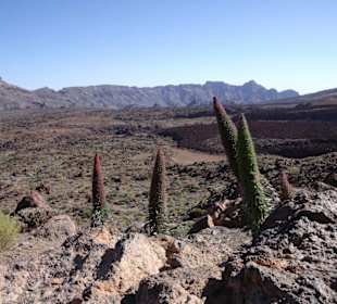 Teide Nationalpark