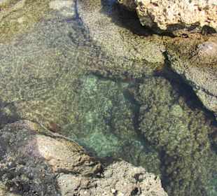 Spacer po plaży w Sfakaki