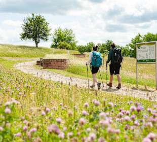 Wandern Dammbach