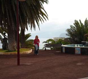 Taoro Garden Springbrunnen