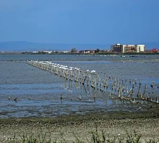 Blick vom Museum über den Salzsee