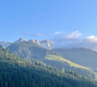 Ausblick