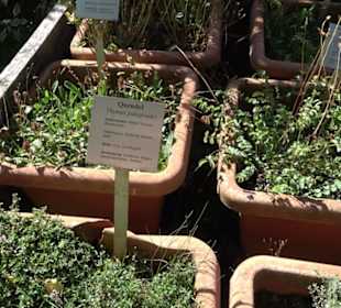 Klosterkirche Maria Gnadenzell
