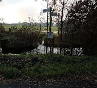 Wegkreuzung links zur Weide der Heckrinder