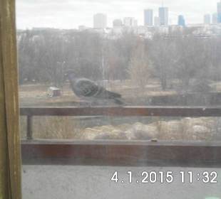 Warszawski Skyline z praskiej strony.