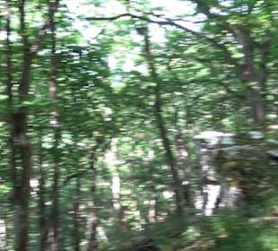 Premiumwanderweg "hochgelegen"