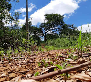Wandern Foz do Iguacu