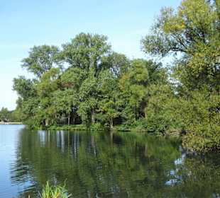 Frühherbst am Sodenmattsee