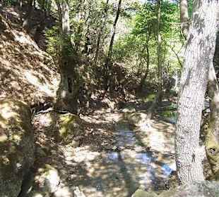 Schmetterlingstal Rhodos