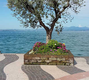 Strandpromenade Lazise