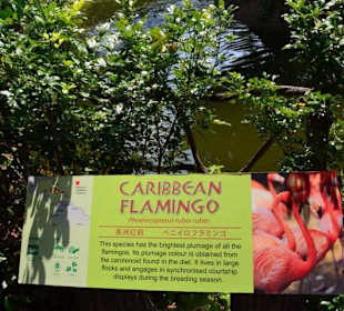 Singapur Zoo