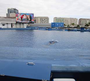 Aquarium / Oceanongrafic