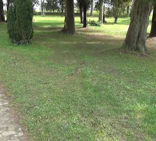 Schloss Königsegg Mittelzell