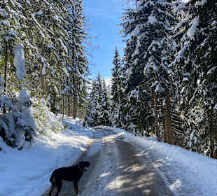 Wandern Diex