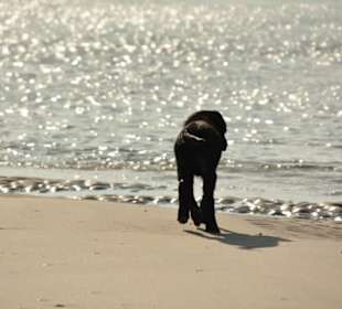 Erste Schritte ans Wasser