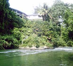 Ausflug auf dem Great River  Jamaica