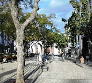 Bitte beschreiben Sie, was auf Ihren Bildern zu se