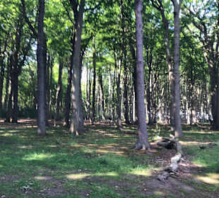 Wandern Börgerende-Rethwisch