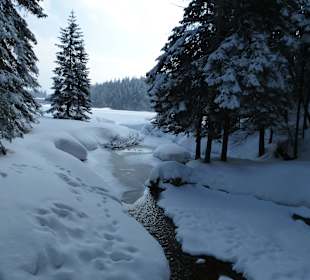 Ausflug Grosser Arbersee