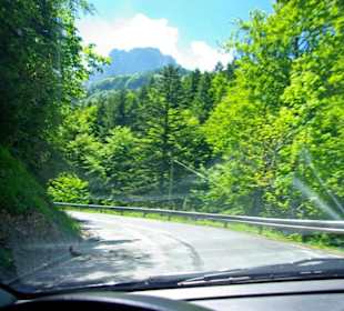 Plöckenpass 2010 die ganze Strecke