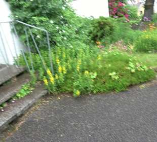 Evangelische Kirche Schenkenzell