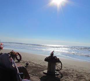 Spaziergang am Strand