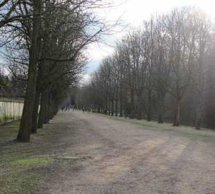 Schlosspark Schwetzingen im Winter