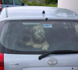 Unsere Toyota Corolla