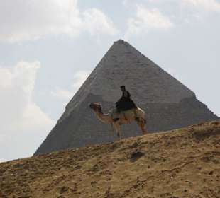 Ägyptische Polizei auf dem Kamel