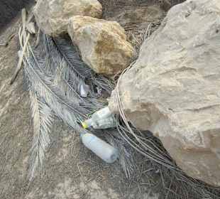 Öffentlicher Strand