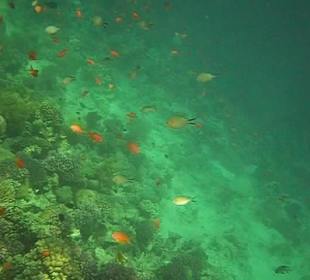 Hausriff Arabella Azur Beach