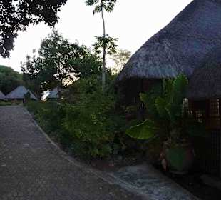 Krüger Nationalpark