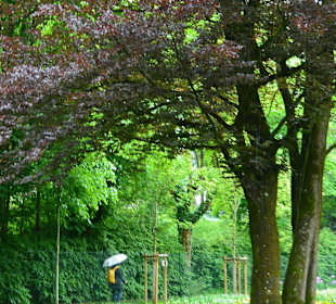 Sisi-Park