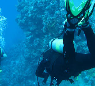Dive and have fun