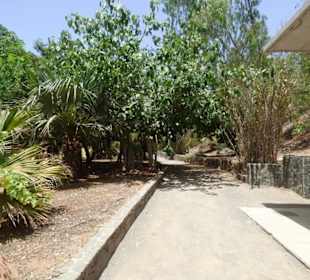Schöner Garten