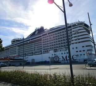 MSC im Hafen von Kopenhagen