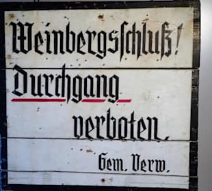 Abteilung Weinbau im Museum Barockscheune