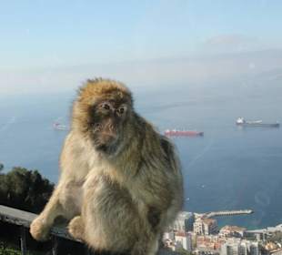 Ausflug nach Gibraltar 