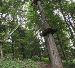 Natur-Hochseilgarten Triberg