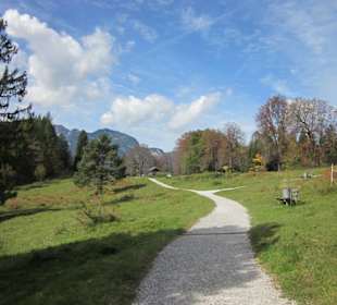 Weg zur Pfeifferalm