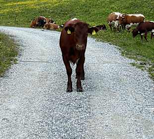 Wandern Bad Hofgastein
