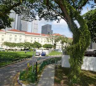 Unterwegs in Singapur mit dem Hop and Hop Bus