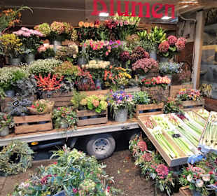 Impressionen vom Rundgang über den Isemarkt